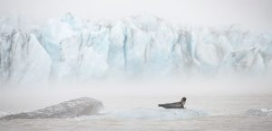 Roelof Moorlag - 22 punten